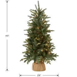 New 4 ft. Pre-Lit Everyday Collection Tree with Clear Lights Pre-Lit|Tabletop