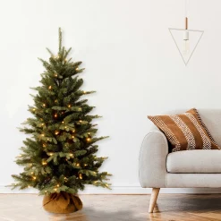 New 4 ft. Pre-Lit Everyday Collection Tree with Clear Lights Pre-Lit|Tabletop