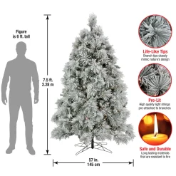 Online 7.5 ft. Pre-Lit Flocked Bavarian Pine Tree Pre-Lit|Full