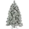 Discount 6.5 ft. Pre-Lit Flocked Bavarian Pine Tree Pre-Lit|Full