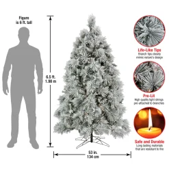 Discount 6.5 ft. Pre-Lit Flocked Bavarian Pine Tree Pre-Lit|Full