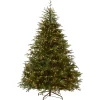 Hot 7.5 ft. Pre-Lit Fraser Grande Tree with Dual Color LED Lights Full|7 To 7.5 Feet
