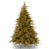 9 ft. Pre-Lit Fraser Grande Tree with Dual Color LED Lights Full|Pre-Lit