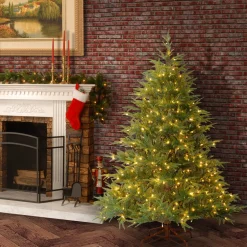 Clearance 6 ft. Pre-Lit Fraser Grande with Dual Color LED Lights Full|Pre-Lit