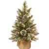 Clearance 2 ft. Pre-Lit Glittery Bristle Tree with LED Lights Tabletop|Pre-Lit