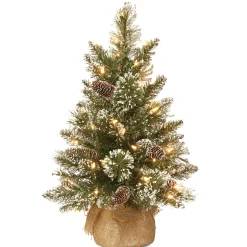 Clearance 2 ft. Pre-Lit Glittery Bristle Tree with LED Lights Tabletop|Pre-Lit