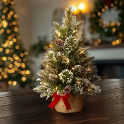 Clearance 2 ft. Pre-Lit Glittery Bristle Tree with LED Lights Tabletop|Pre-Lit