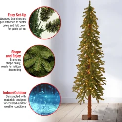 Best 6 ft. Pre-Lit Hickory Cedar Tree with Clear Lights Full|Pre-Lit