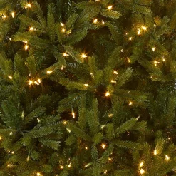Discount 6.5 ft. Pre-Lit Jersey Fraser Fir Medium Tree with Dual Color LED Lights Medium|Pre-Lit
