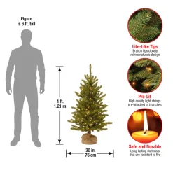 Discount 4 ft. Pre-Lit Kensington Fir Tree in a Burlap Sack with Clear Lights Full|Pre-Lit