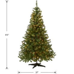 Clearance 6 ft. Pre-Lit Kincaid Spruce Tree with Clear Lights Full|Pre-Lit