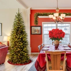 Best 6.5 ft. Pre-Lit Kingswood Fir Pencil Tree with Clear Lights Pre-Lit|6 To 6.5 Feet