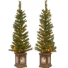 4 ft. Pre-Lit Leigh Valley Tree Set with Clear Lights Entrance|Pre-Lit