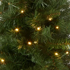 Clearance 2 ft. Pre-Lit Majestic Fir Tree with LED Lights, Red Base Tabletop|Pre-Lit
