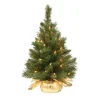 New 2 ft. Pre-Lit Majestic Fir Tree with Clear Lights, Gold Base Tabletop|Pre-Lit