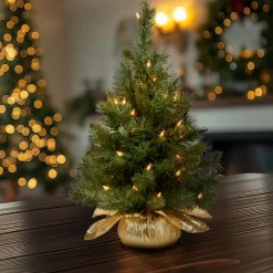 New 2 ft. Pre-Lit Majestic Fir Tree with Clear Lights, Gold Base Tabletop|Pre-Lit