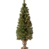 Discount 4 ft. Pre-Lit Montclair Spruce Tree with Clear Lights Entrance|Pre-Lit