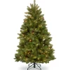 Discount 5 ft. Pre-Lit Newberry Spruce Tree with Dual Color LED Lights Full|Pre-Lit