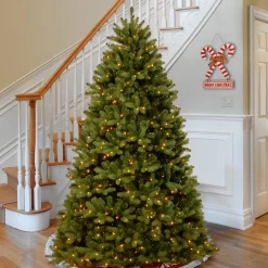 New 9 ft. Pre-Lit Newberry Spruce Tree with Clear Lights 8 To 8.5 Feet