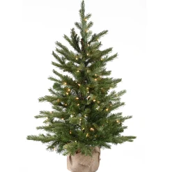 Best 3 ft. Pre-Lit Nordic Spruce Tree with Clear Lights Full|Pre-Lit