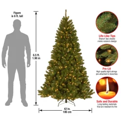 Outlet 6.5 ft. Pre-Lit North Valley Spruce Tree with Clear Lights Full|Pre-Lit