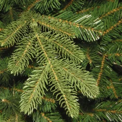 Online 6.5 ft. Pre-Lit Norwegian Spruce Tree with Clear Lights Full|Pre-Lit