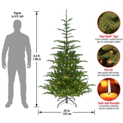 Online 6.5 ft. Pre-Lit Norwegian Spruce Tree with Clear Lights Full|Pre-Lit