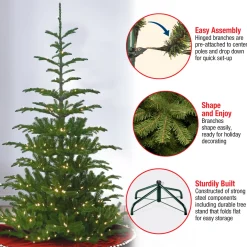 Online 6.5 ft. Pre-Lit Norwegian Spruce Tree with Clear Lights Full|Pre-Lit