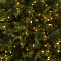 Clearance 6.5 ft. Pre-Lit Princeton Fraser Fir Tree with PowerConnect Dual Color LED Lights Full|Pre-Lit