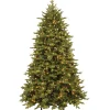 Hot 7.5 ft. Pre-Lit Princeton Fraser Fir Tree with PowerConnect and 1000 Dual Color LED Lights Full|Pre-Lit