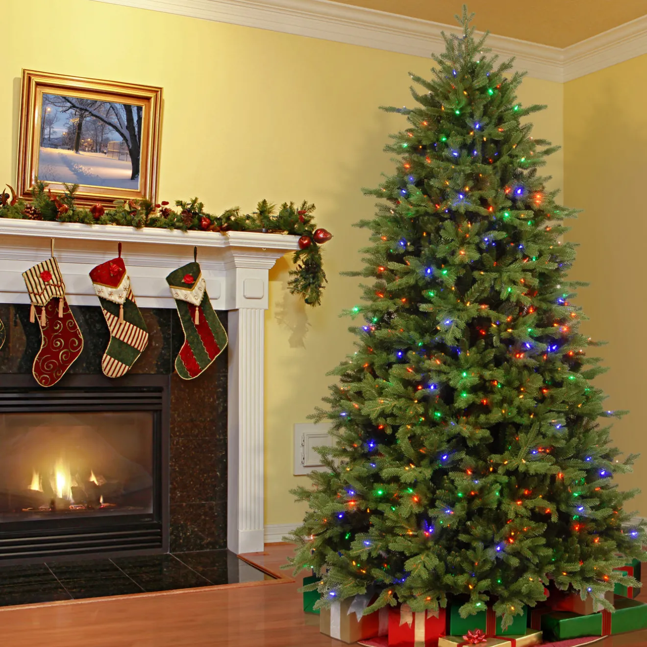 Outlet 9 ft. Pre-Lit Princeton Fraser Fir with PowerConnect Dual Color LED Lights Pre-Lit|9 To 9.5 Feet