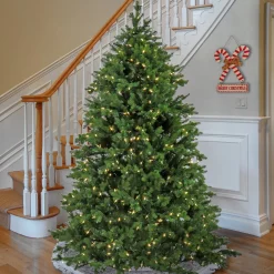 Online 6.5 ft. Pre-Lit Rockport Tree with PowerConnect LED Lights Full|Pre-Lit