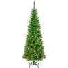 Discount 6 ft. Pre-Lit Rowan Slim Tree with Multicolor Lights Pencil Slim|Pre-Lit