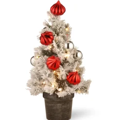 Sale 2 ft. Pre-Lit Snowy Bristle Pine Tree with LED Lights Pre-Lit|Slim