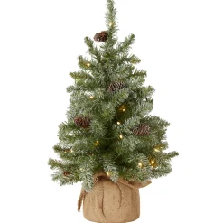 Outlet 2 ft. Pre-Lit Snowy Concolor Fir Tree with LED Lights Tabletop|Pre-Lit