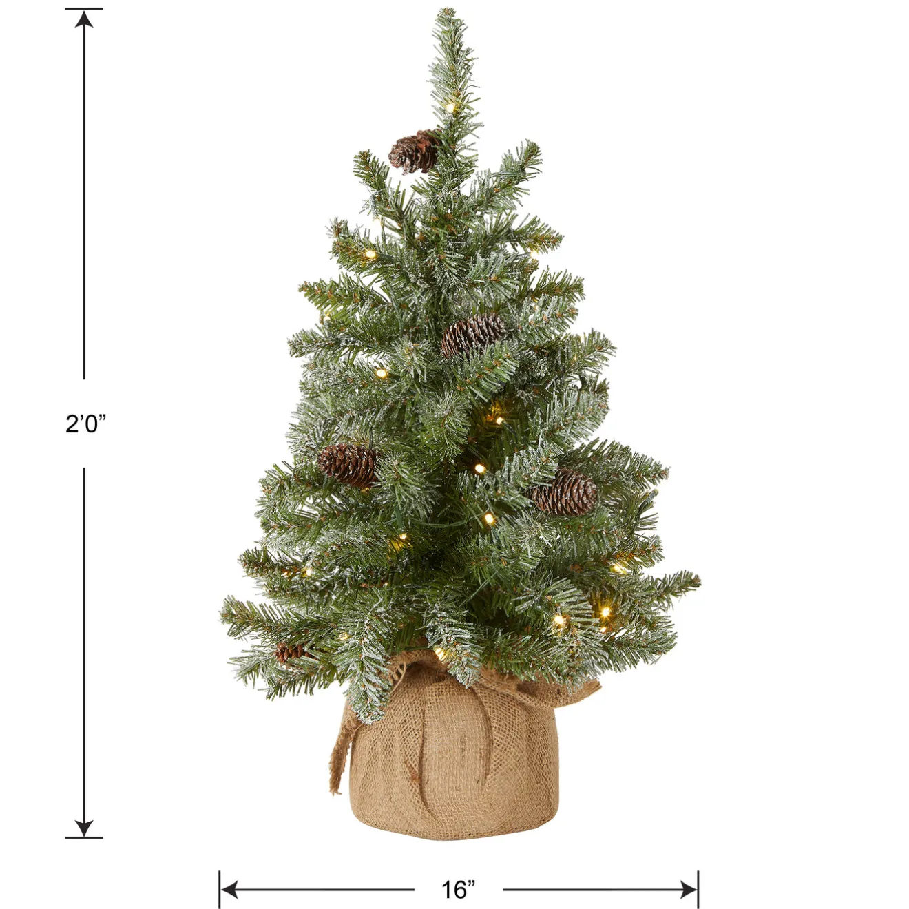 Outlet 2 ft. Pre-Lit Snowy Concolor Fir Tree with LED Lights Tabletop|Pre-Lit
