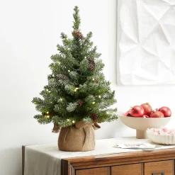 Outlet 2 ft. Pre-Lit Snowy Concolor Fir Tree with LED Lights Tabletop|Pre-Lit