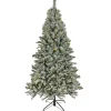 Discount 6.5 ft. Pre-Lit Snowy Harwich Hinged Tree with PowerConnect Warm White LED Lights Full|6 To 6.5 Feet