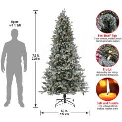 Outlet 7.5 ft. Pre-Lit Snowy Poechmann Fir Tree with LED Lights Pre-Lit|Full