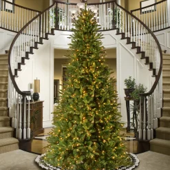 Online 12 ft. Pre-Lit Tiffany Fir Slim Tree with Clear Lights Pre-Lit|12 Feet And Taller