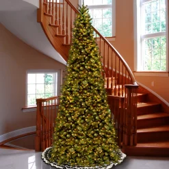 Discount 10 ft. Pre-Lit Tiffany Fir Slim Tree with Clear Lights Slim|Pre-Lit
