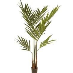 New 4 ft. Spring Kentia Palm Potted Tree with Leaves, Simulated Soil in a Black Pot Potted Plants