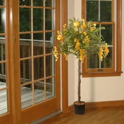New 4 ft. Spring Wisteria Potted Tree with Yellow Flower Blooms in a Black Pot Base Potted Plants