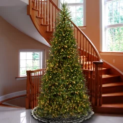 Sale 10 ft.Pre-Lit Dunhill Fir Slim Tree with Clear Lights Slim|Pre-Lit