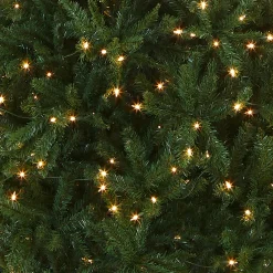 Discount 10 ft.Pre-Lit Kingswood Fir Pencil Slim Tree with Clear Lights Pencil Slim|Pre-Lit