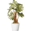 Outlet 21 in. Spring Potted Philodendron Plant Decoration Garden Accents in Ceramic Pot Potted Plants
