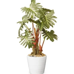 Outlet 21 in. Spring Potted Philodendron Plant Decoration Garden Accents in Ceramic Pot Potted Plants