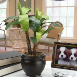 New 18 in. Banana Plant Potted Plants