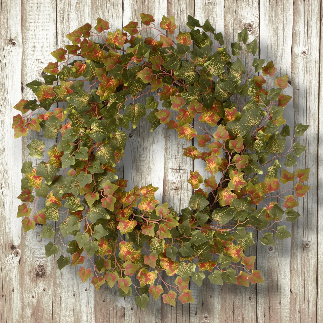 Discount 24 in. Fall Wreath with Ivy Wreaths
