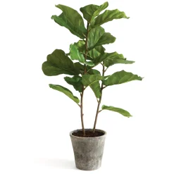 Clearance 43 in. Fiddle Leaf Fig Topiary Tree Potted Plants